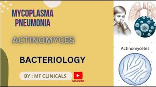 Actinomyces  Mycoplasma pneumonia mbbs bacteriology [upl. by Glynn839]