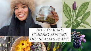 HOW TO MAKE POWERFUL HEALING OIL  COMFREY LEAF [upl. by Alecram]