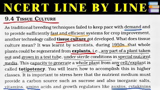 Tissue culture class 12 neet ncert line by line explanation [upl. by Ecinwahs341]