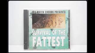 Fat Wreck Chords  Survival Of The Fattest Complet Compilation [upl. by Ennoira]