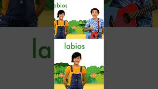 Conoce palabras por la letra L de León 🦁 123andres musicainfantil shortsvideo kidsvideo shorts [upl. by Reinhardt953]