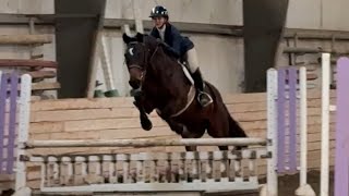 Ava Blackstock and Solstice 2’9 hunters schooling show 1st place [upl. by Neirod]