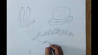 how to draw porifera I sycon I euspongia I spongilla I Animal kingdom I chapter 4 I class 11 biology [upl. by Hnirt586]