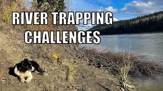 Beavers And Grizzlies Challenges On The Trapline [upl. by Adnihc]