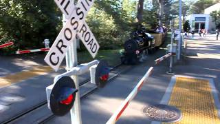 SF Zoo Steam Train [upl. by Elaen536]