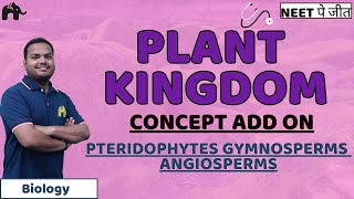 Plant Kingdom Class 11 Biology NEET  Pteridophytes Gymnosperms Angiosperms [upl. by Ainimre]