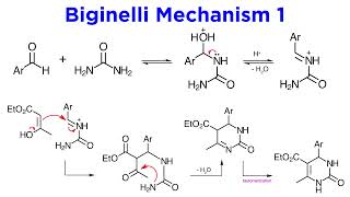 Biginelli Reaction [upl. by Assertal665]