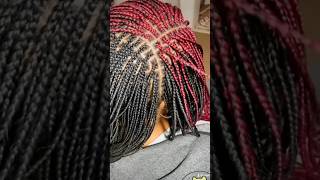 Small Box Braids boxbraids knotlessbraids naturalhair protectivestyles [upl. by Anauqcaj320]