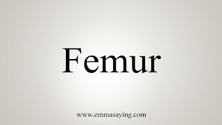 How To Say Femur [upl. by Mcmahon]