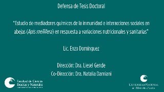 Defensa de Tesis Doctoral  Lic Enzo Domínguez [upl. by Ratib983]