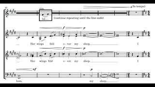 Owl Secrets SATB div from Zoo Nocturnes  Chronos Vocal Ensemble [upl. by Analart]