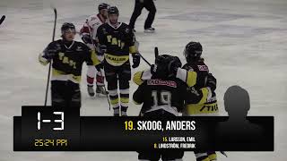 Highlights Tranås AIF  Nybro Vikings 23  Hockeyettan Södra 1617  20161019 [upl. by Baras]