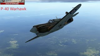 Il2 battle of Normandy P40 destroys an oblivious Bf109 [upl. by Schoenburg]