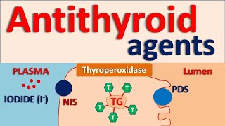 Antithyroid agents [upl. by Reehsab]