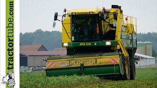 Erbsenernte in Rhede und Borken durch LU Laarakker mit Ploeger JD6150R und Dezeure Pea harvest [upl. by Justine899]