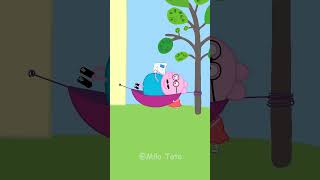 Peppa Mailbox funny animation peppapig cartoon xuhuong humour doublage [upl. by Ennaharas685]