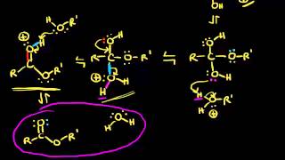 Preparation of esters via Fischer esterification  Organic chemistry  Khan Academy [upl. by Ayhtin375]