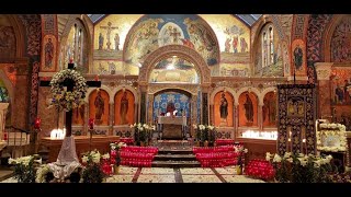 Orthros amp Divine Liturgy  Nov 8 2024  Synaxis of Archangel Michael amp the other Bodiless Powers [upl. by Ynattirb]