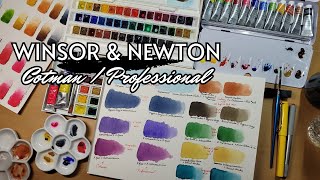 Winsor amp Newton Comparison and Review  Cotman vs Professional [upl. by Ledarf79]