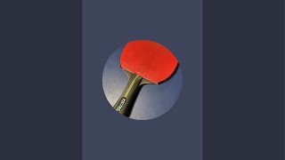 Table tennis 202410291 [upl. by Wurster]