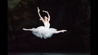 Giselle trailer The Royal Ballet [upl. by Ahsien]