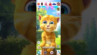 Ginger cat talkingtomfunnybox talkingtomtoyboxfun relaxingunboxfunnyfunbox games talkingtoy [upl. by Leveridge829]