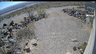 Timelapse Video of Oatman Mountain 20241107 [upl. by Jaymie491]