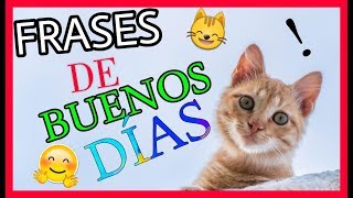 🙀FRASES de BUENOS DÍAS con IMÁGENES TIERNAS 😹😸 [upl. by Arlette82]