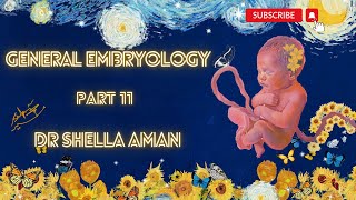 General Embryology  Part 11  3rd week of development 2  Dr Shehla Aman [upl. by Charie]