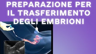 Preparazione per il trasferimento degli embrioni 2023 [upl. by Annehs454]