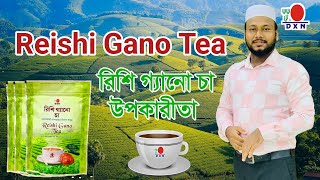 Dxn Reishi gano tea রিশি গ্যানো চা কেমিক্যাল মুক্ত চা Dxn products benifit Bangla [upl. by Onilatac989]