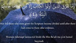 Surah Bayyinah X10  Mishary Rashid Al Afasy  Beautiful Recitation [upl. by Zacharias]