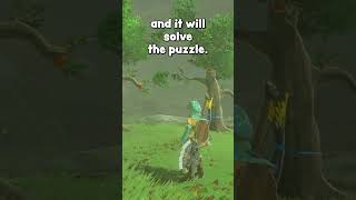 99 BotW players dont know about this Korok trick [upl. by Aileme]