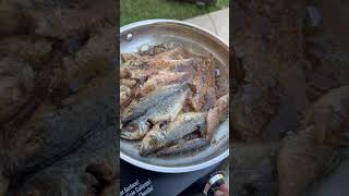 Dried fish from Philippines cooking in the backyard [upl. by Perron]