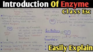 Introduction To Enzyme in biochemistry  Cofactor  Class 11 Biology [upl. by Jaunita229]