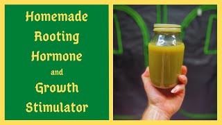 I Saved Thousands Of Dollars Using THIS Homemade Rooting Hormone and Plant Growth Stimulator [upl. by Dorine]