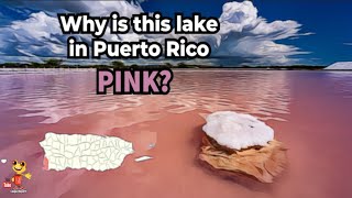 Why are these lakes in Puerto Rico PINK [upl. by Laurene]