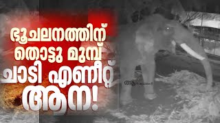 ഭൂമി കുലുങ്ങി ആന പേടിച്ചു ഉച്ചത്തിൽ വിളിച്ചു  elephant reaction to earthquake  Parannur nandan [upl. by Hanala]