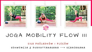 Joga Flow Mobility  Scandasana i Putvottanasana 3 [upl. by Janina]