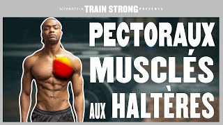 4 EXERCICES PECTORAUX avec haltères à la maison haut et bas des pecs [upl. by Tadeas]