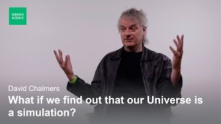 Skepticism and the Simulation Hypothesis — David Chalmers [upl. by Leffert]