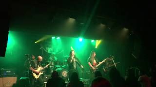 FOREVER by Kamelot  Live cover by BattleBard [upl. by Tewfik252]