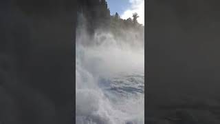 Biggest waterfall in Europe Rhine falls ⛲ shorts [upl. by Riddle683]