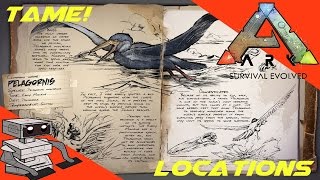 Ark Survival Evolved  Pelagornis Where And What About It [upl. by Nosremaj]