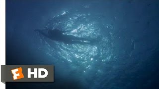 Jaws 3 in 4K UHD  Shark Attack At The Opening Ceremony  Extended Preview [upl. by Compte]