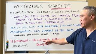 Mysterious PARASITEMalaria Plasmodium [upl. by Barnard]