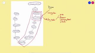 Experimental pharmacology an introduction [upl. by Anifad581]