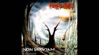 Rotting Christ  Non Serviam Lyrics HD [upl. by Colier]