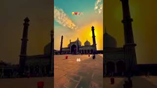 🕌Jama Masjid 📍New Dalhi youtubeshorts jamamasjid newdalhi shortsvideo trending shortsfeed [upl. by Kcirdnek627]