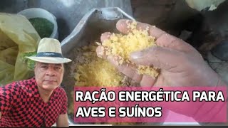 Como fazer ração energética para GALINHAS e porcos [upl. by Avitzur37]